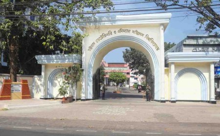 চট্টগ্রাম ভেটেরিনারি ও অ্যানিম্যাল সায়েন্সেস বিশ্ববিদ্যালয় অ্যালামনাই অ্যাসোসিয়েশনের নতুন কার্যনির্বাহী কমিটি গঠন
