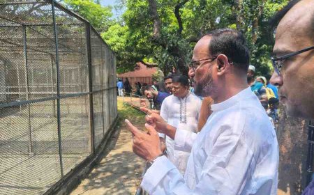জাতীয় চিড়িয়াখানায় আকস্মিক পরিদর্শনে প্রাণিসম্পদ প্রতিমন্ত্রী