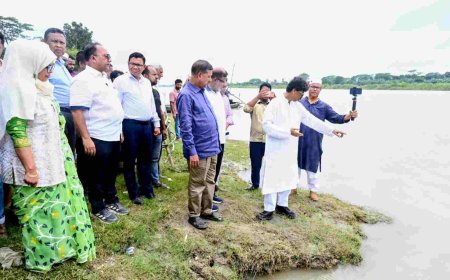 হাওরে মাছের অভয়াশ্রম বাড়ানো হবে, ইজারা প্রথা তুলে দেওয়ার উদ্যোগ - মৎস্য ও প্রাণিসম্পদ এবং কৃষিমন্ত্রী 