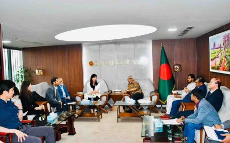 প্রবাসী কল্যাণ মন্ত্রী-প্রতিমন্ত্রীর সঙ্গে দক্ষিণ কোরিয়ার প্রতিনিধিদলের সৌজন্য সাক্ষাৎ