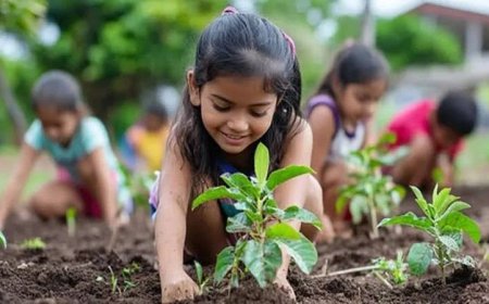 ‘ওয়ান চাইল্ড ওয়ান ট্রি’ কর্মসূচি : শিক্ষার্থী অনুযায়ী বৃক্ষরোপণের পরিকল্পনা তৈরির নির্দেশ