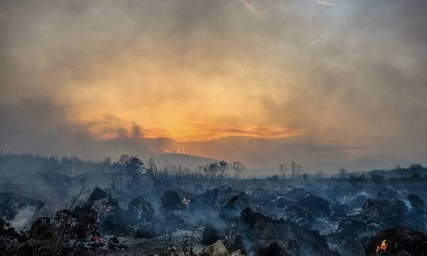 ক্রোয়েশিয়ায় দাবানলে ঘরবাড়ি ও গাড়ি পুড়ে ছাই