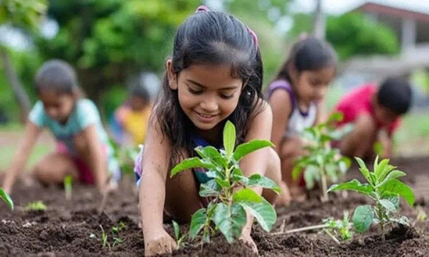 ‘ওয়ান চাইল্ড ওয়ান ট্রি’ কর্মসূচি : শিক্ষার্থী অনুযায়ী বৃক্ষরোপণের পরিকল্পনা তৈরির নির্দেশ