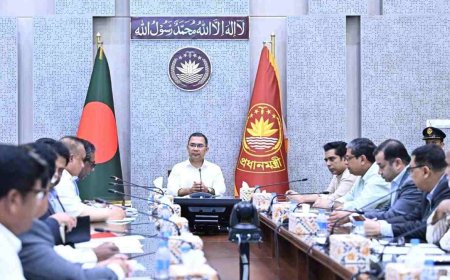 ডেঙ্গু প্রতিরোধে ৩ মাসের বিশেষ অভিযান, উদ্বোধন করবেন প্রধানমন্ত্রী
