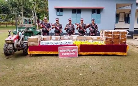 শেরপুরে বিপুল পরিমাণ ভারতীয় কসমেটিক জব্দ