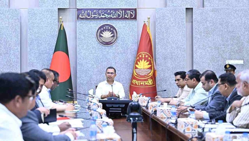 ডেঙ্গু প্রতিরোধে ৩ মাসের বিশেষ অভিযান, উদ্বোধন করবেন প্রধানমন্ত্রী